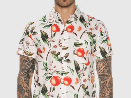 Vitamin C Button Up Discount