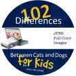 102 Differences Between Cats and Dogs:  Color Cartoons - CD Online