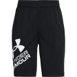 Under Armour Kids Ua Prototype 2.0 Logo Shorts For Discount