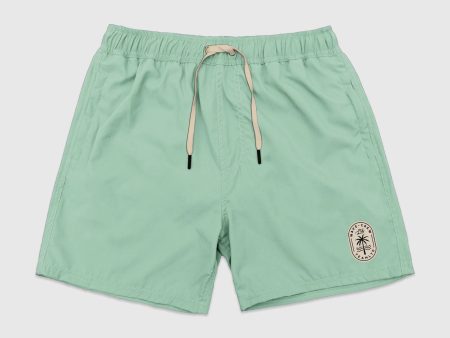 Classic Swim Short Online