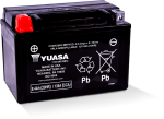 Yuasa YTX9 Maintenance Free AGM 12-Volt Battery For Sale